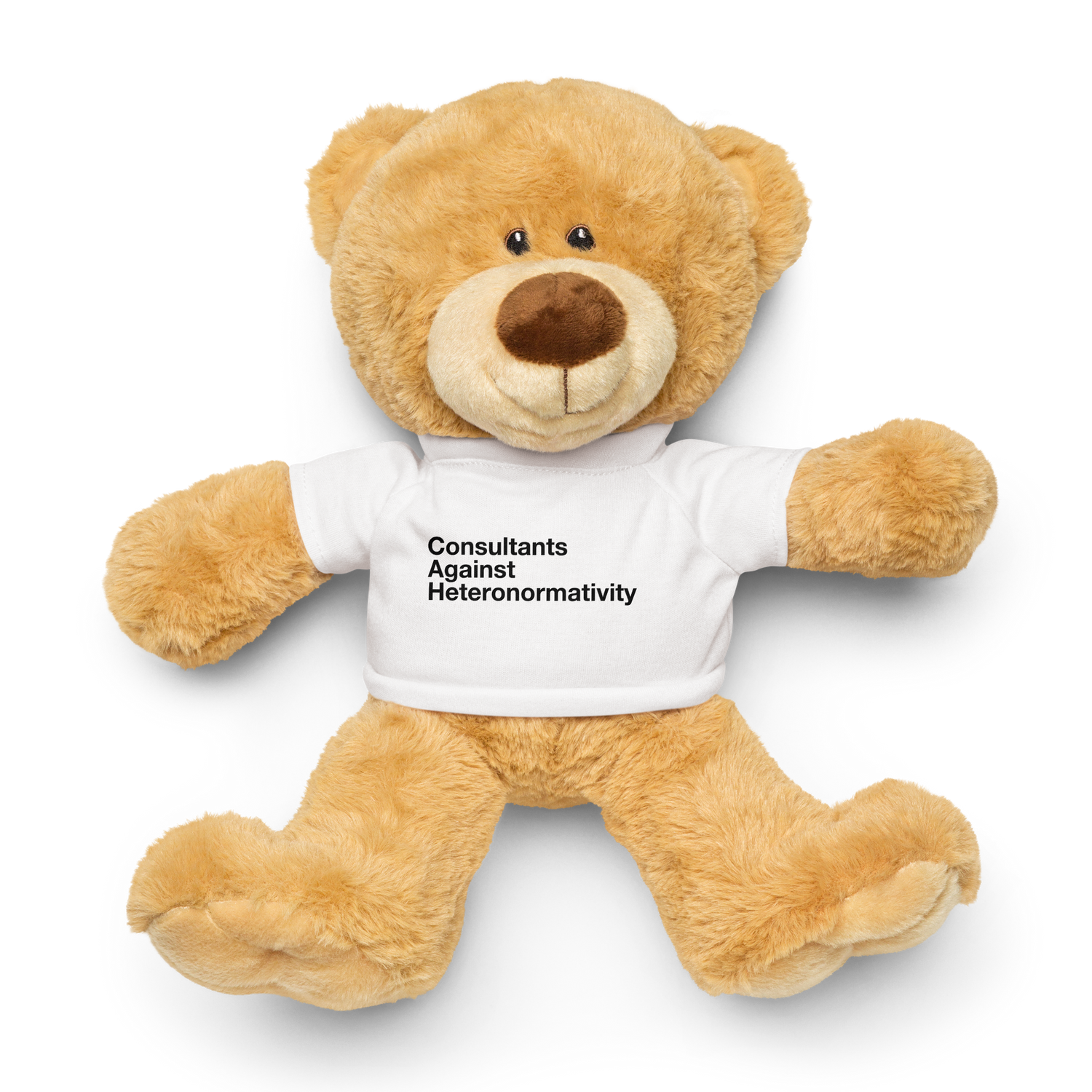 teddy bear wearing a white t-shirt that has "Consultants Against Heteronormativity" printed on it